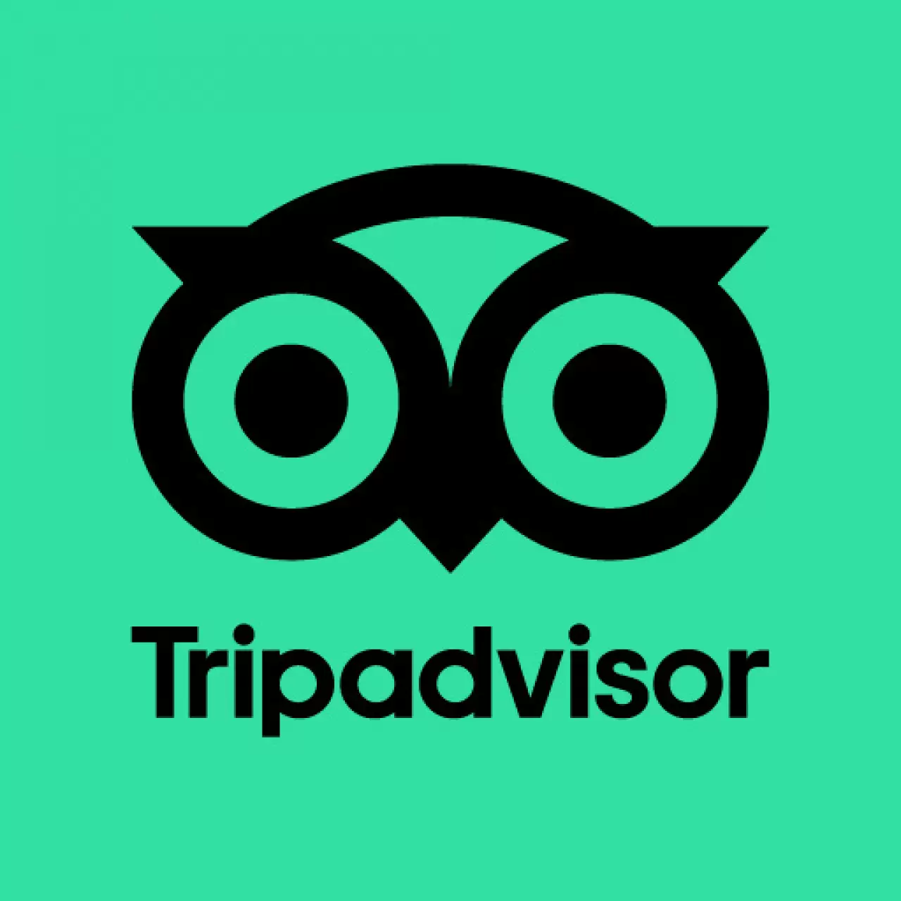 Tripadvisor Set Up